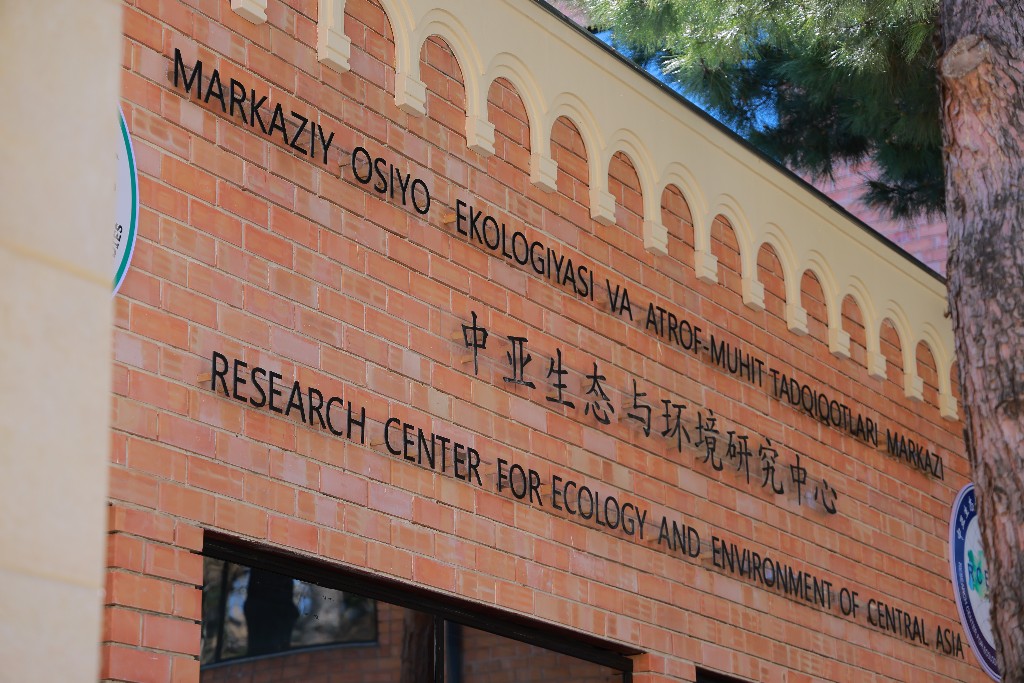 Desertification and land degradation research